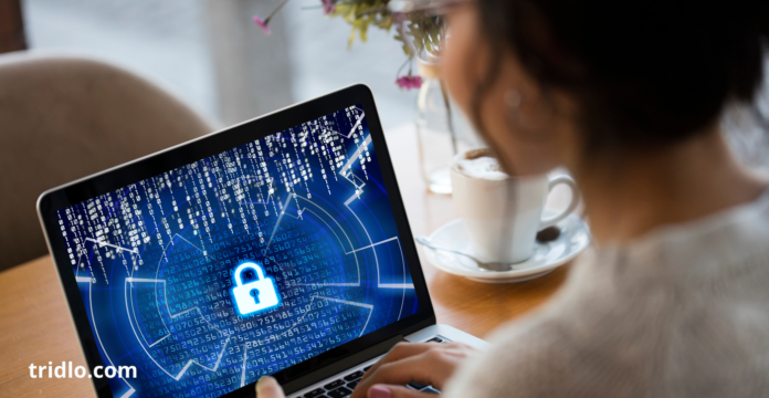 Cybersecurity Guide for Protecting Your Digital World