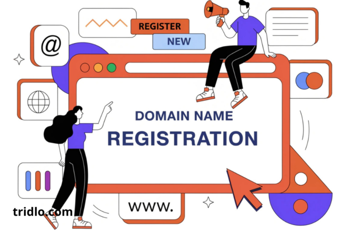 Domain Name Registration