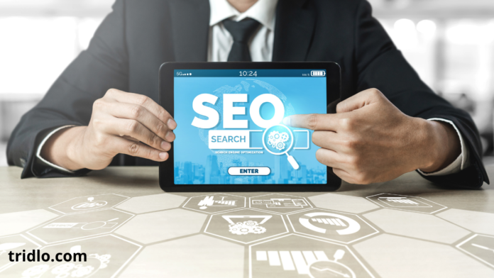 SEO Marketing: The Ultimate Guide to Choosing the Best SEO Services