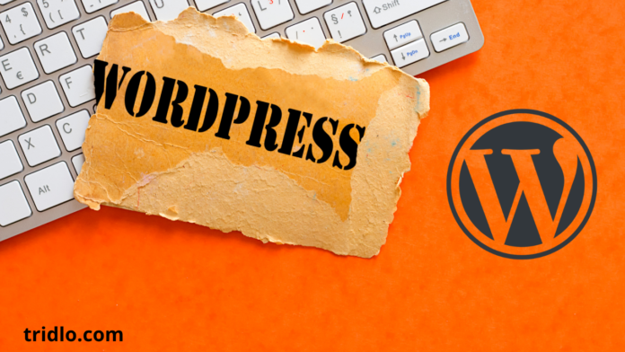 WordPress Developer
