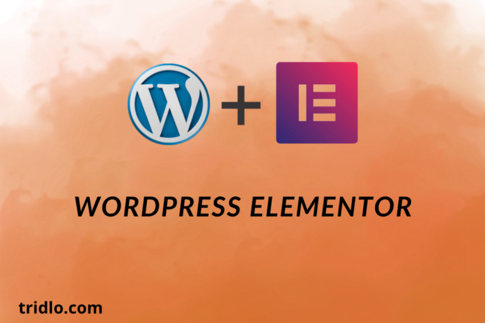 WordPress Elementor: Build a Professional Website Easily