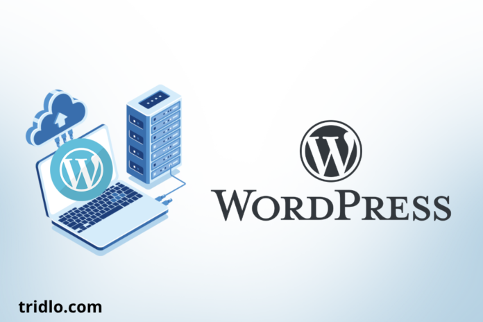 WordPress Hosting Choose the Best Hosting for Your Website
