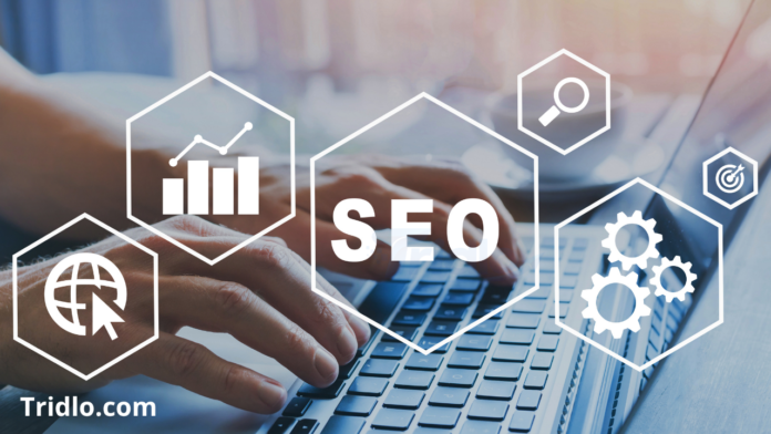 SEO Optimization