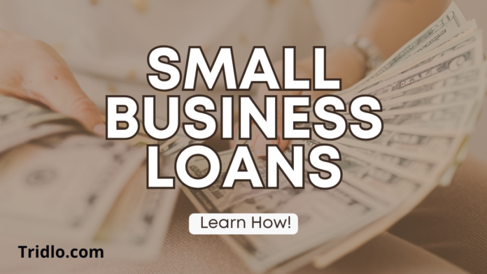 Small Business Loans