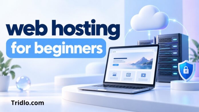 Web Hosting for Beginners