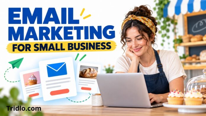 email marketing platform for a small business