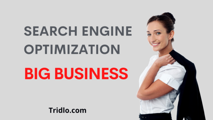 search engine optimization